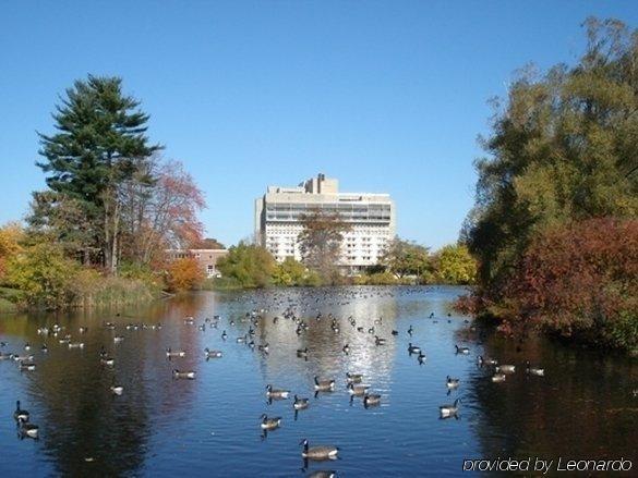 Hotel Umass Амхерст Удобства фото